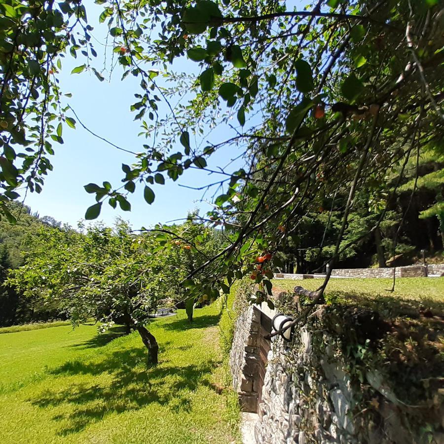 Il Bosco Di Campo Marzano Green & Sky Apartamento Borzonasca Exterior foto