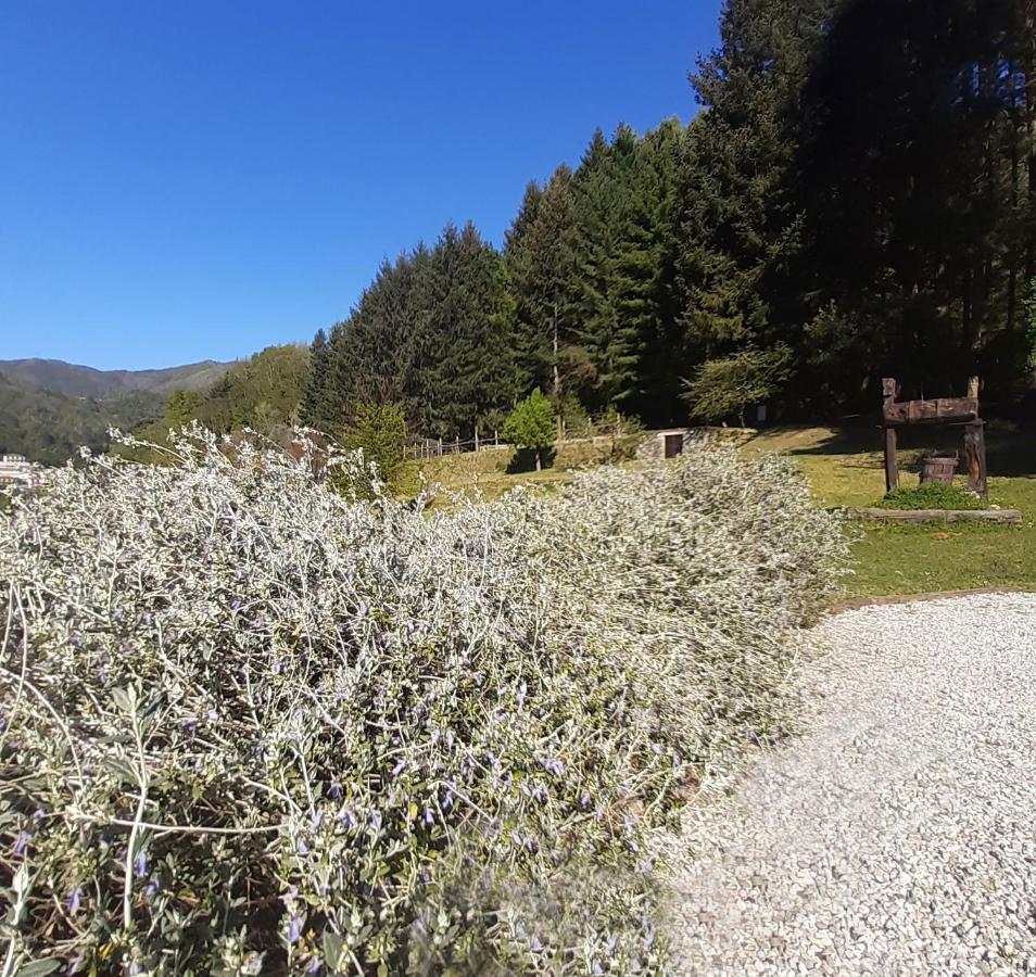 Il Bosco Di Campo Marzano Green & Sky Apartamento Borzonasca Exterior foto