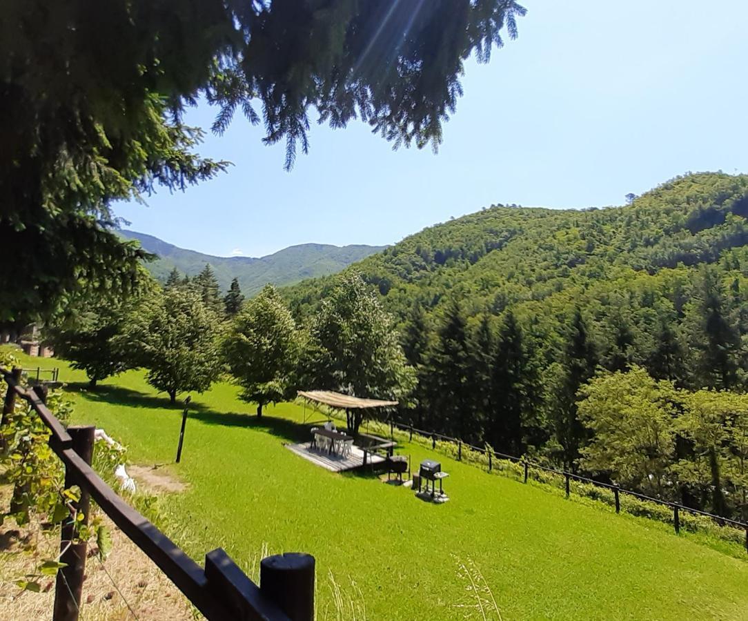 Il Bosco Di Campo Marzano Green & Sky Apartamento Borzonasca Exterior foto